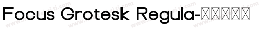 Focus Grotesk Regula字体转换